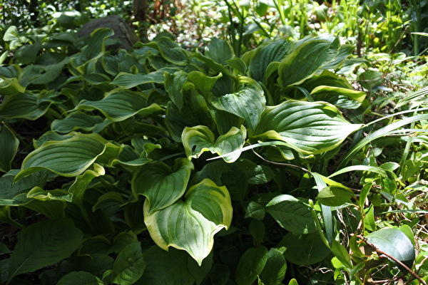 dJ7y4wQASkKHGKQ1650612267