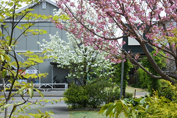 mEBJ90Xe1iqcV161650178410