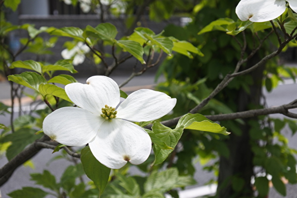 oeSOkETgXqBipcU1650178439