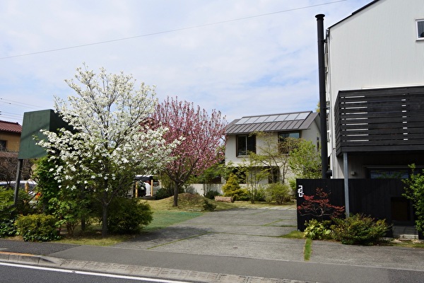 qNOuusZb6tpaGVX1650178346