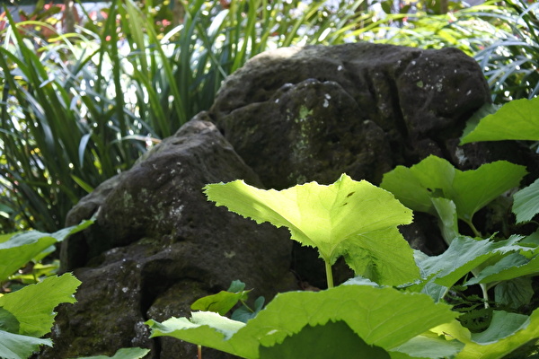 t2Z07u8weK46zpT1650612361