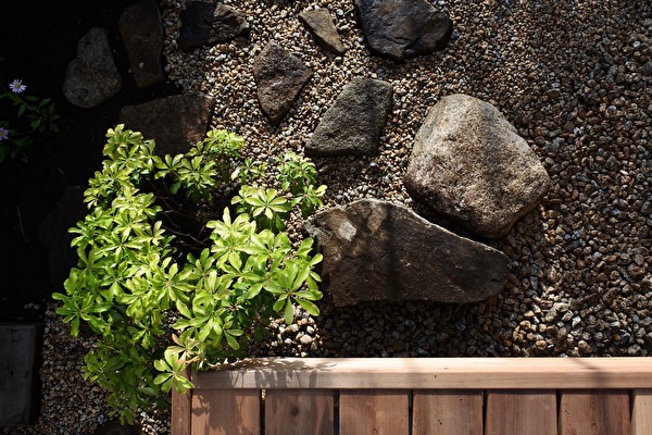 zEJF0NTZMOFIh6s1651306920