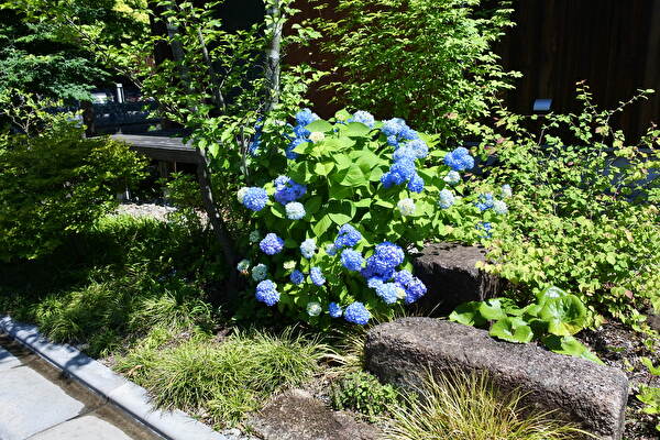 6RUp0BtQzc5c36x1653797393