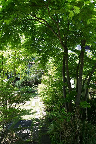 NWjnsRdIPG8gPes1651566738