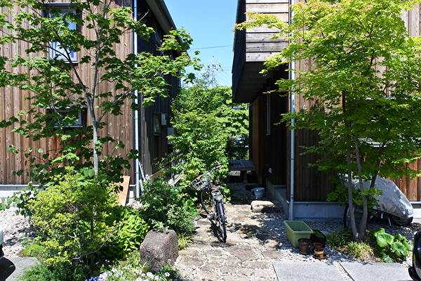 Z7e67kpaeYOw22R1653797239