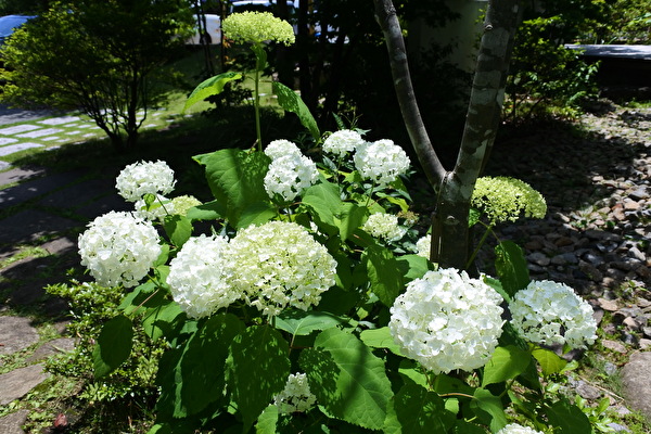 3sXMpoWvB8LvIw81655011515