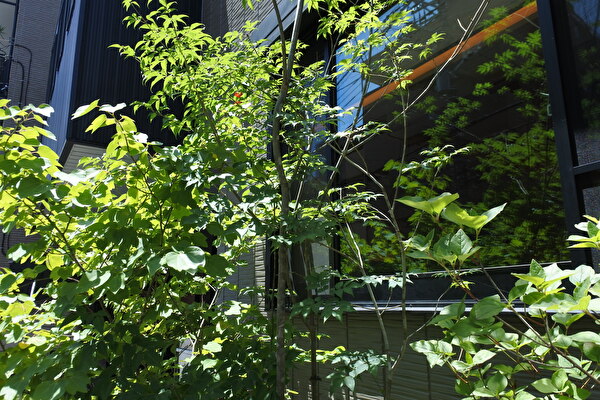 R4bKJmOCMmmSNY41656048766