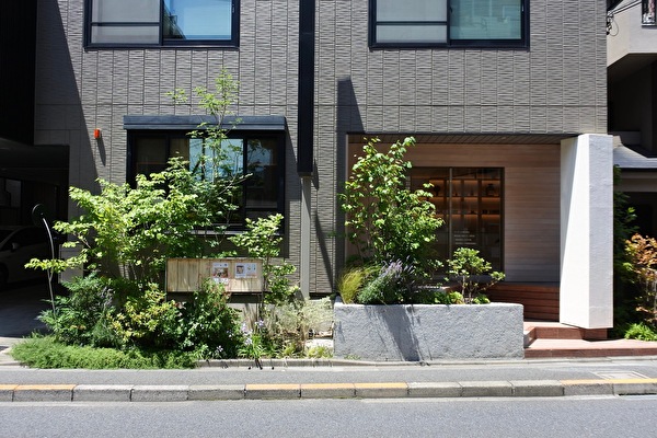 Y6mYevGmWg8Qgvi1656048718