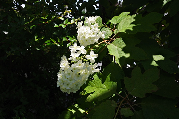 YLDsRE2Lf3jbTXx1655011483