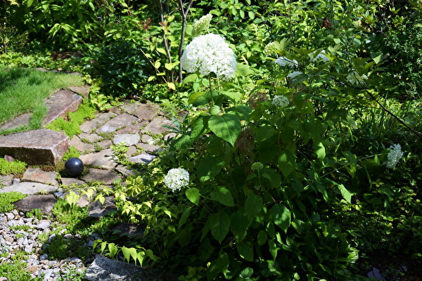 ne4Tyg44AEbblIB1655011555