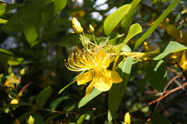 uVnyOAzWyKjyioS1655011498