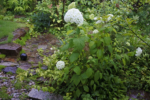 usHwRIUwgmG6HCb1655011543