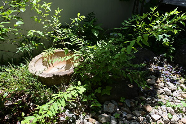 CxspuhMTlcw7ch01658650947