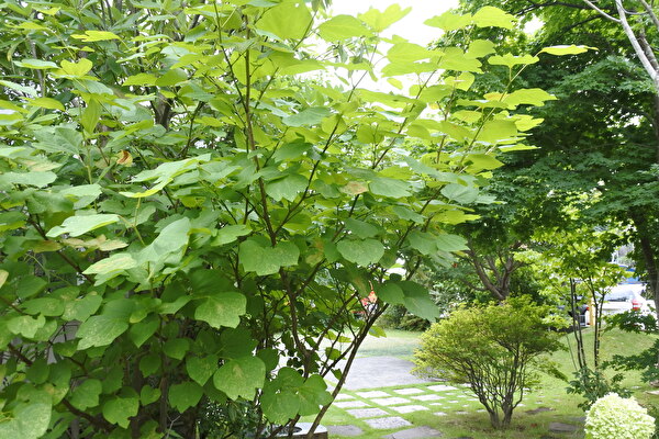 I8SuFlPjmNtrl9W1657773446