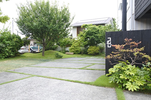 JK3r6HNtDB42Y9R1657773433