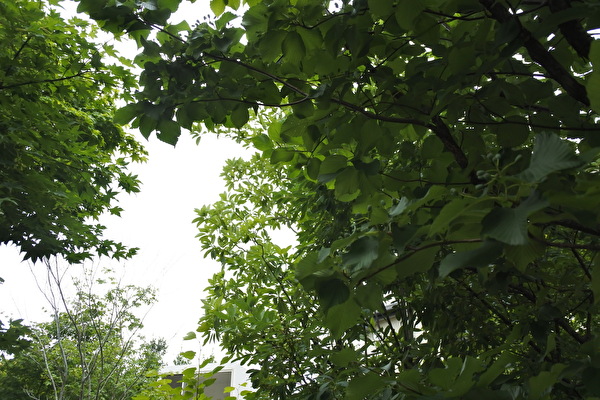 S1G7o5yX4YItt1Y1657773463