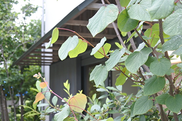 c1WdGqlWq4J0GNo1657773418