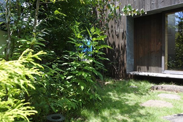 o25VUksud19VJnH1658650898