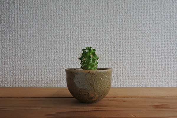 08TVf16hzthN3hX1661140373