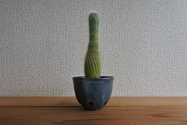 HmEvU0ICpXxcw9m1661140443