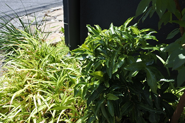 NockEUqlISx2yGy1659945755