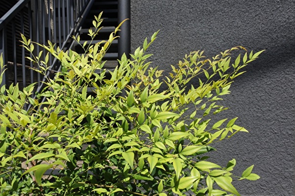 UjRrnsLf9y1e4mg1659945689