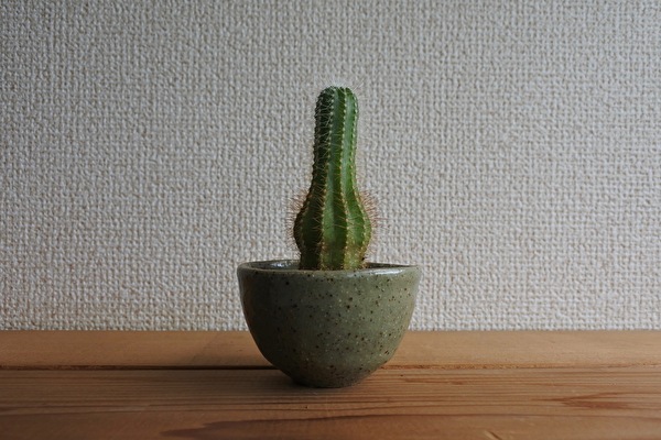 UlO74U2XJ6npDpS1661140415