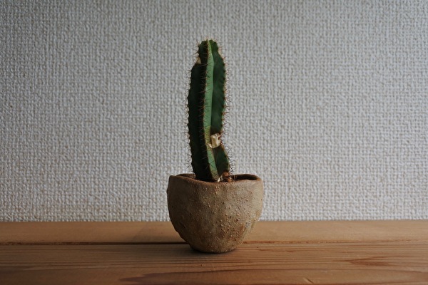 VYRO9VBytLL3Hiy1661140427