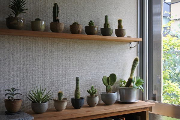 Vr4GCPu1MOlHU2Q1661140483