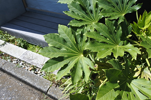 bIucbE8TUUkKmeJ1659945704