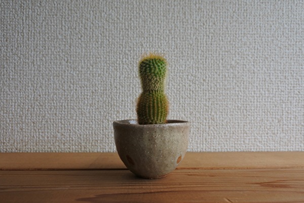 ed07Yj3flPl8Rii1661140402