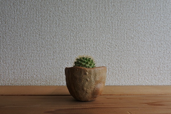 ipMGJqP8cfYbqpf1661140388