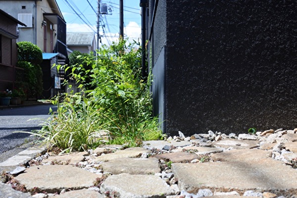 あそこという名で十八で