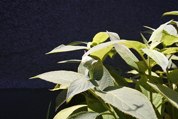 u3DZWzOV1KUnIHs1659945736