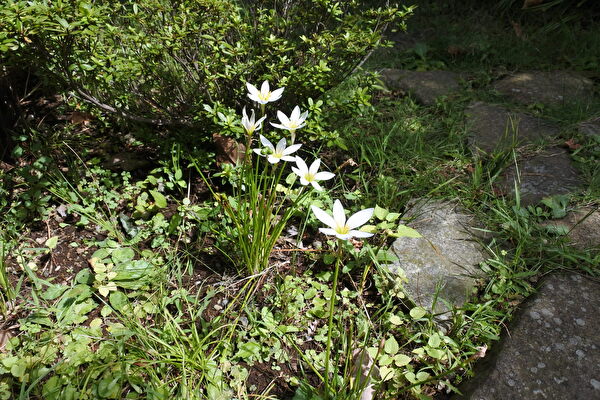 11uvr7rgnVAx0st1662875607