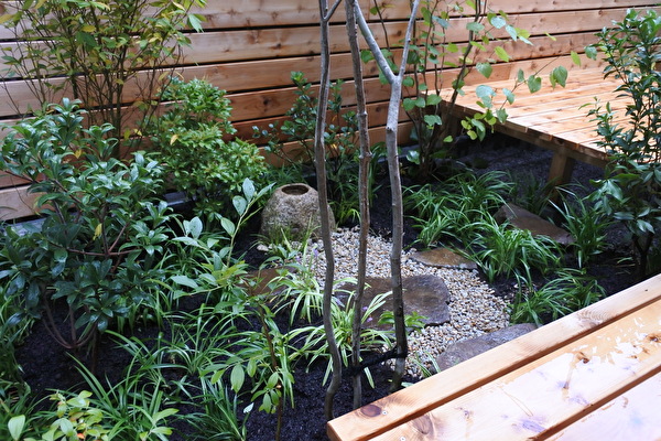 5wQrc5HY6DtVzGR1663284387