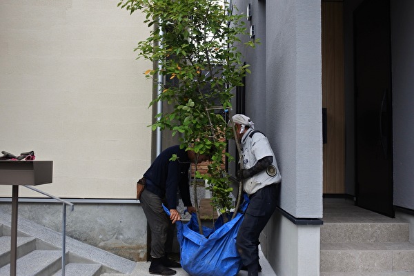 DbH29ySEmuWtxmY1663284334