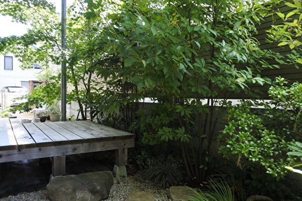 DgctGv4kVQqLE551662973185