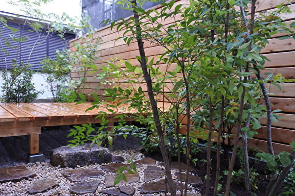 FUcD871UzTYSHS11663284369