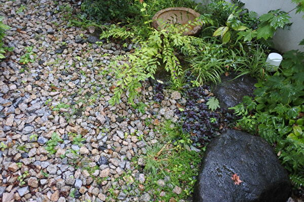 IURiq54zOlhtxGq1663561317