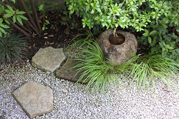 一年ぶりの水鉢