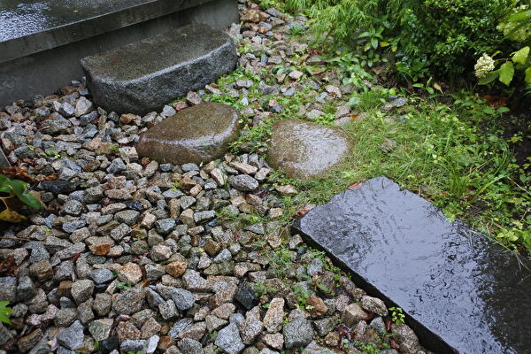 aQikqkTX9bSLNax1663561332