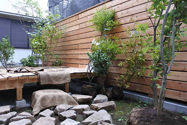 nSvSvuG5s7MNstt1663284352