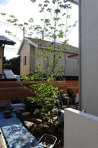 qXPZV8aG83vv3of1663915714