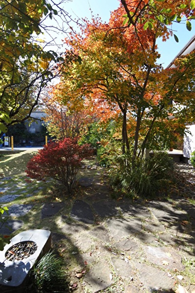 8XbtRRDL2P8lwUd1667714752