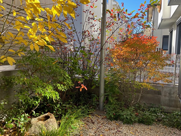 JhEKVan1uFTEVLX1669527670