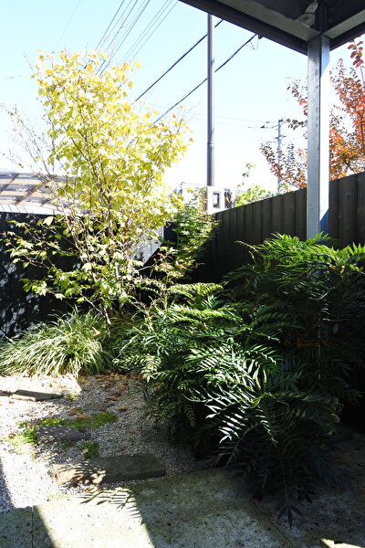 KLfW8iytHvyIgrO1667714822