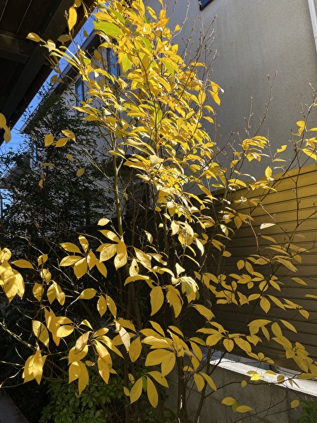 PUQDVaF5C3W5o8p1669527696