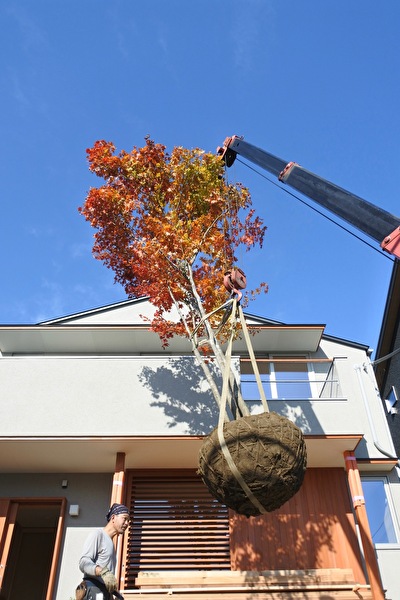 SeHV4DCDrg6adqF1668140179