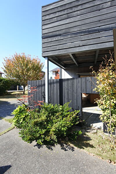 gYlUZoWc73kIrbf1667714838